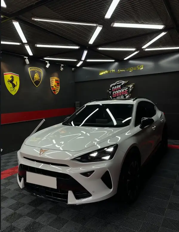 Stüdyoda beyaz Cupra